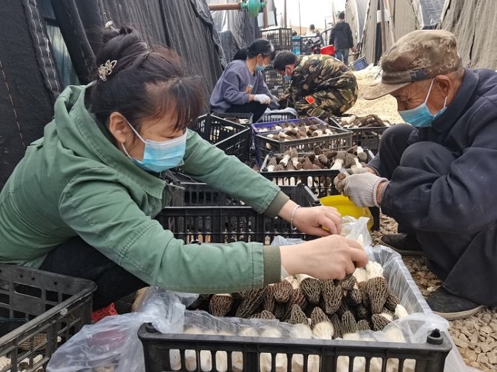 亿万先生MR(中国)首页官网
