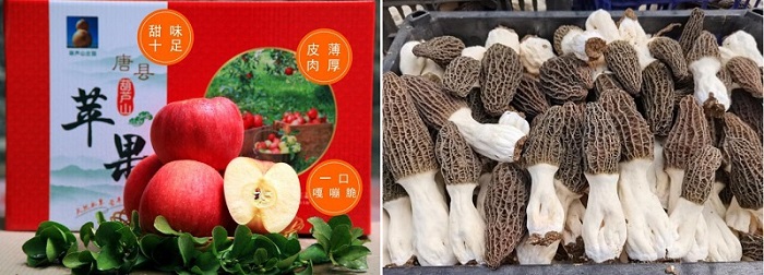 亿万先生MR(中国)首页官网