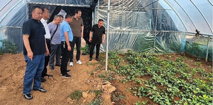 亿万先生MR(中国)首页官网