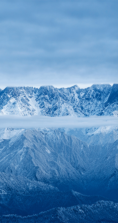 ���ڱ���ͻ��mg