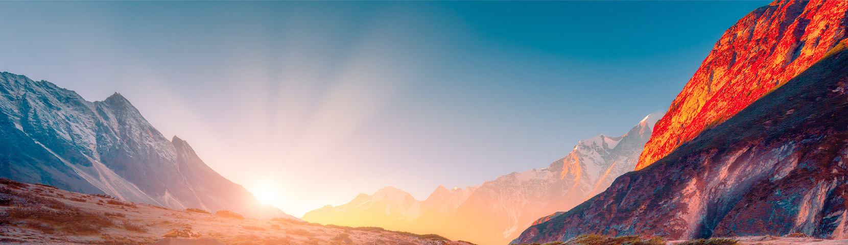 ���ڱ���ͻ��mg