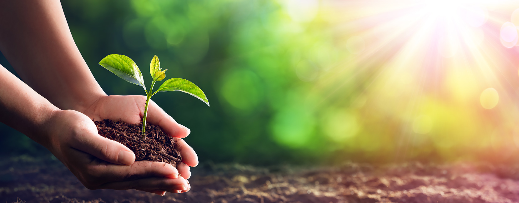 ����ͻ��-������κ�����_MG������Ϸ